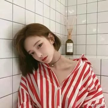 副总统第五季