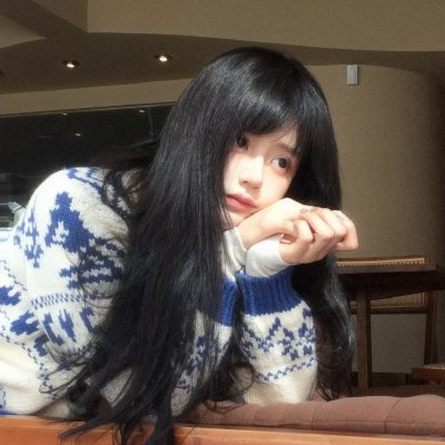没人瞭波斯猫